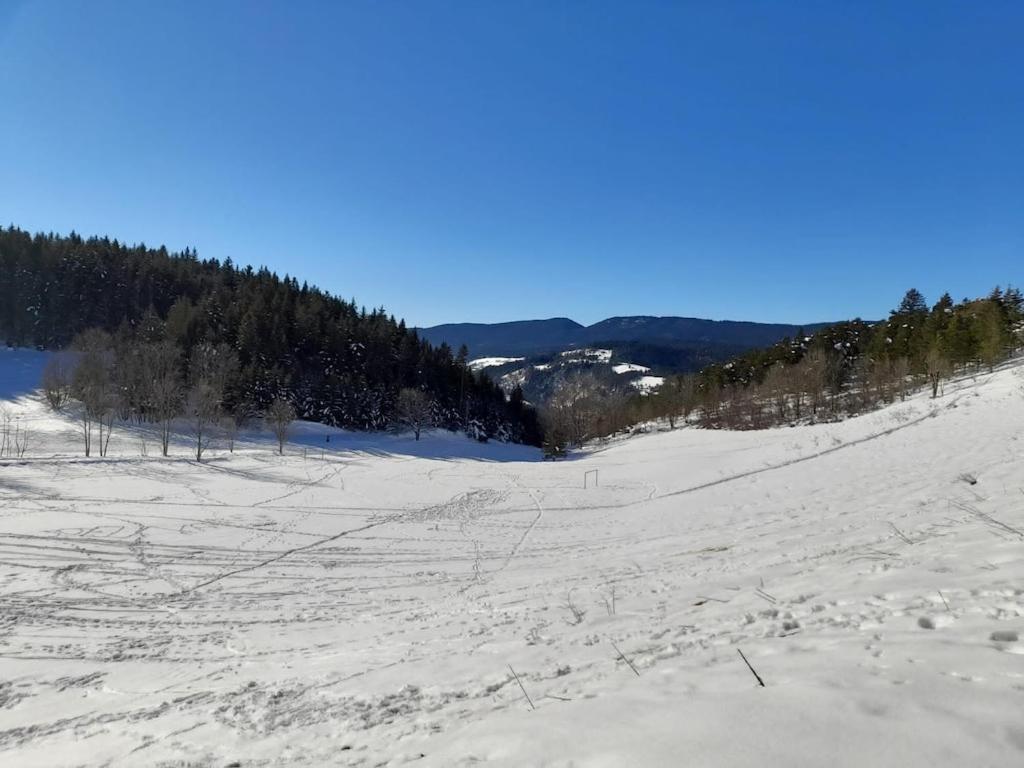 Les Glovettes Villard De Lans Exteriör bild